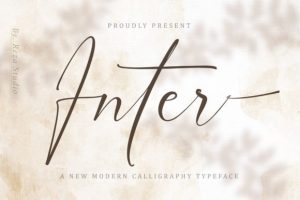 Inter-Fonts
