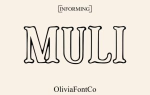 Muli-Fonts