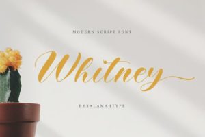 Whitney-Fonts